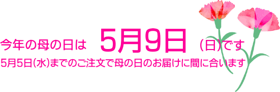 母の日のプレゼント ギフト にお米を 送料無料 米ギフト専門店 新潟の四季